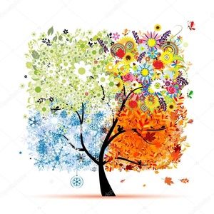 Meet your Posher, Sanjuana